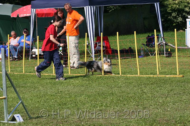 jubil.lusten. 219.jpg